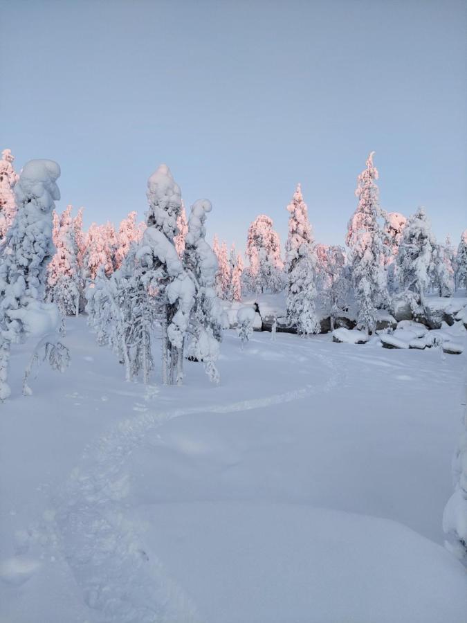 Villa Latvus Rovaniemi Exteriér fotografie