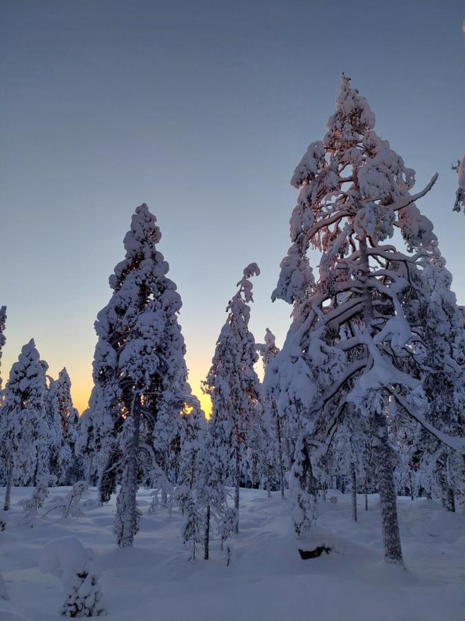Villa Latvus Rovaniemi Exteriér fotografie